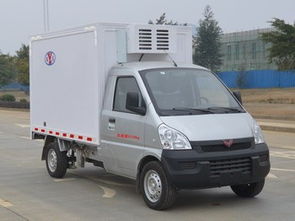 廣西來(lái)賓、崇左地區(qū)冷藏車供應(yīng)與選購(gòu)指南 騰宇專用汽車銷售公司全方位解析